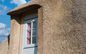 Gowerton thatch roof disadvantages
